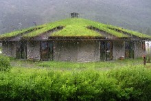 Norwegian house / ***