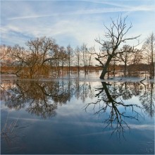 The February flood / ***