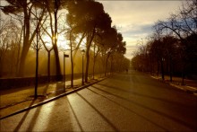 The park ........ sun was rising .... / **************