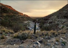 walking in the mountains Limonov ... 3 / Lemmon Mountains, Arizona