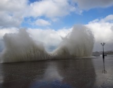 waves in the bay / ***