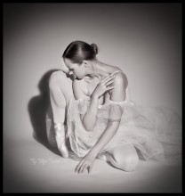 Swan / ***