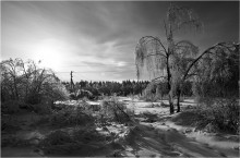 icy captivity / ***