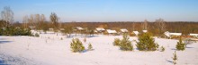 Country Landscape / ***