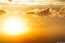 By sunset ... / ***