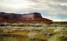 Red Hill / ***