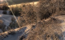 In fetters of ice / ***