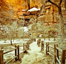 ZION / ***