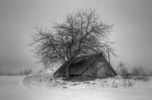 Das Alter allein / .....
