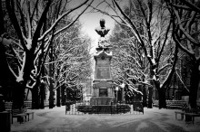 Poltava / ***