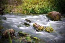 Creek / ...........
