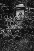 Old Park / .....