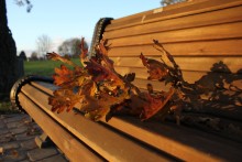 Herbststimmung / ***