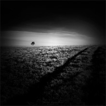 [GEO music] * 2 / ...the path to light is through the jungle of darkness