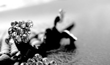 Haarspange ... / ***