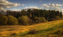 Autumn colors / ***