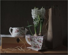 GIFT ... / ***