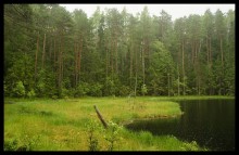 Dead Lake / ***