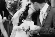 Love and Pigeons:) / ***