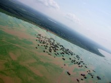 Turn over the Tonle Sap lake / ***