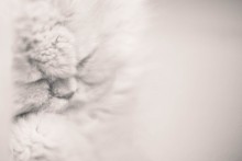 Dream ... / *****