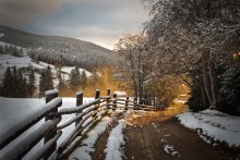 The sun rose the hill / ***