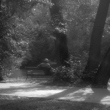 summer's almost gone / ***