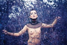 blackthorn / blackthorn