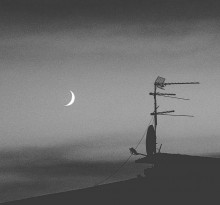 / / / Sailing / / / / ***