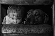 In the ambush. / ******