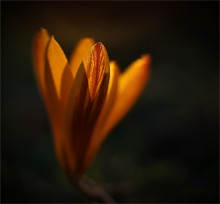 Warm Spring ... / ***