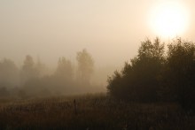 Dawn / ***