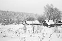 Winter / ***