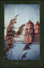 Early spring in the world ... / ***