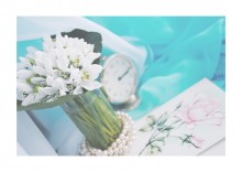 soft spring / .............