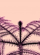 spikes / ***