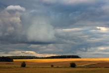 Autumn Elegy / ----------