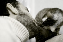 Kiss / ***