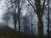 Sleepy morning of spring ..... / ***