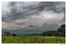Wai'le'ale / Wai'le'ale, Kauai, Hawaii