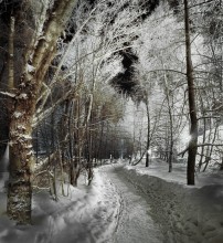 Night alley / ***