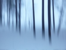 In movement / *******