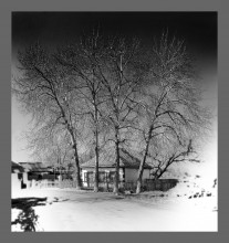 Ancestral home / *************