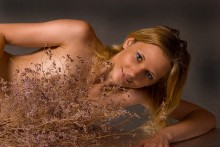 dried flowers / ***
