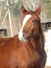 Aramis / ..........
