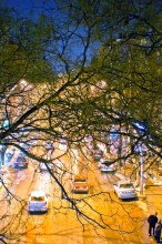 Branch-arm / ***