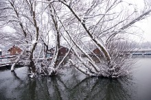 Winter / ***