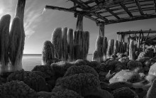 Weg zum Meer / ***
