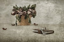 from bygone memories ... / .................