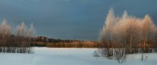 Mart.Luchi spring / ***